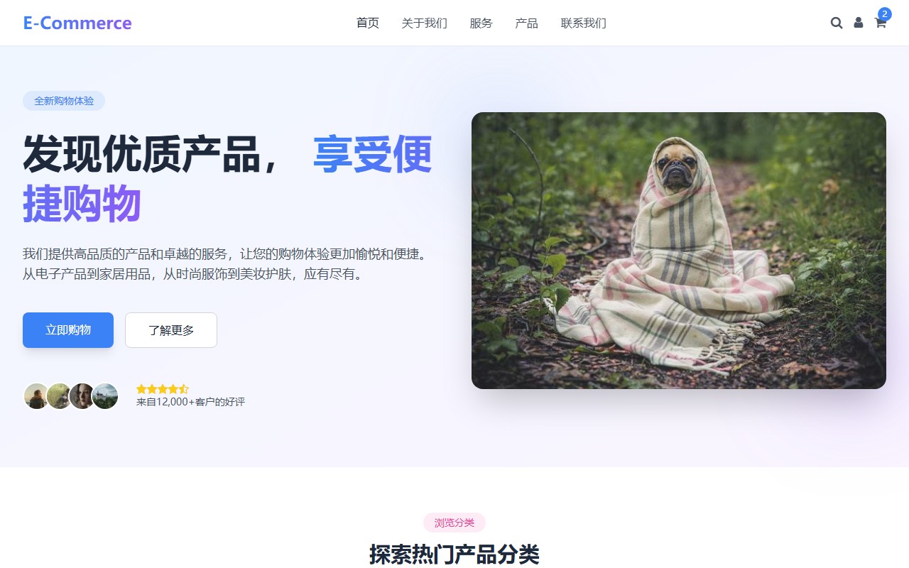 现代电商平台 - 专业在线购物网站